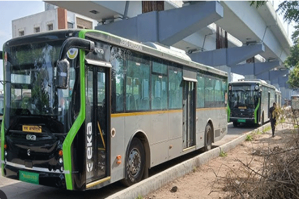 NGP BUS