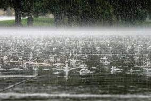 Rain arrives in Vidarbha Rain arrives in Vidarbha