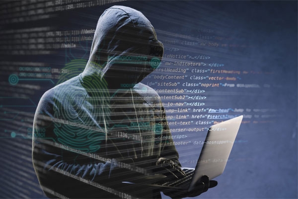 cyber fraud
