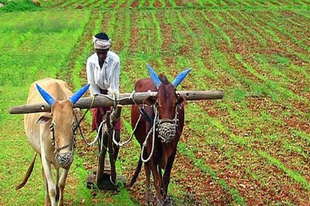 56 लाख शेतकऱ्यांसाठी गुडन्यूज! प्रतिक्षा संपली…येणार कर्जमाफीचा मॅसेज