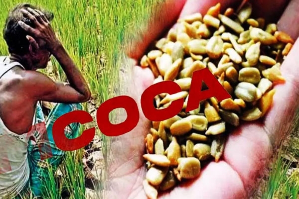 MCOCA demand