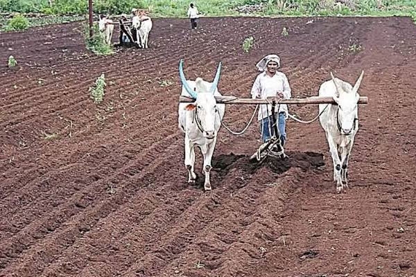 Maharashtra monsoon 2026 rainfall