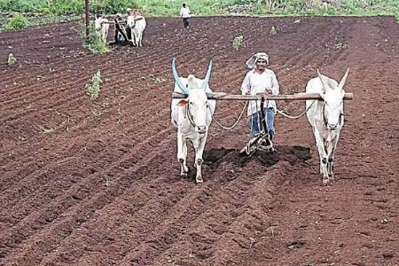 खरीप हंगामाच्या कामांना मोठी गती