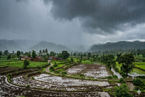 maharashtra monsoon active again yellow alert in 24 districts heavy rain forecast