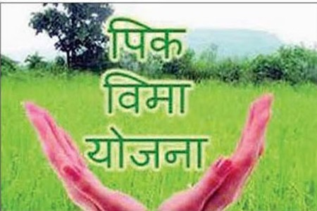 फळपीक विम्यापासून शेतकरी वंचित राहणार