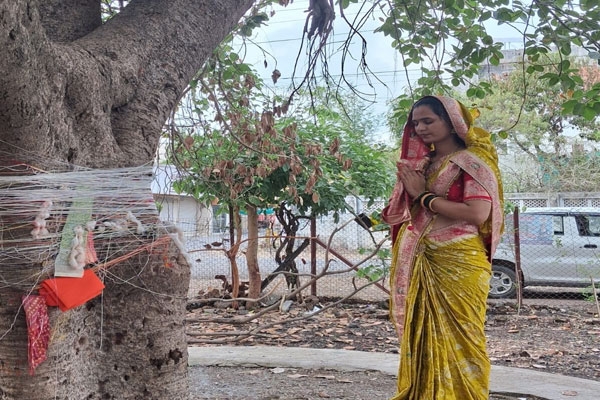 vat savitri, poornima, manora,