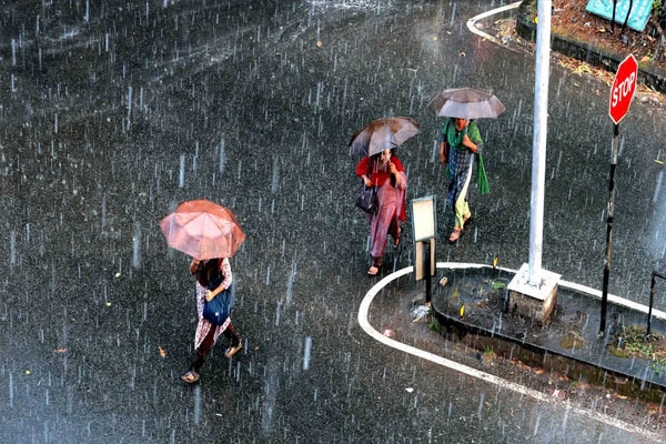Heavy rain alert for the state