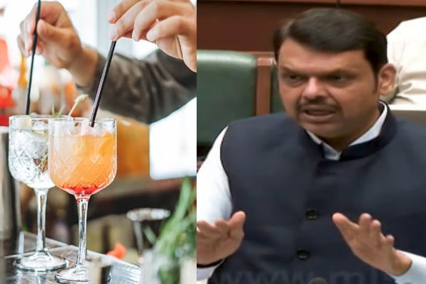 fadnavis