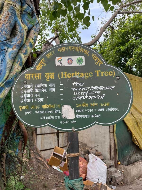 Heritage Tree