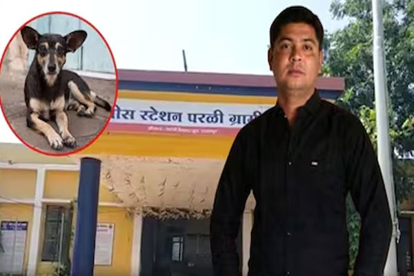 Parli murder case, Varvati shivar murder,