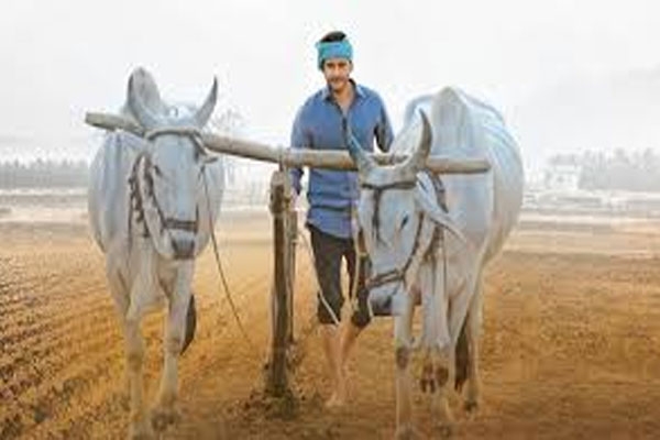 farmar