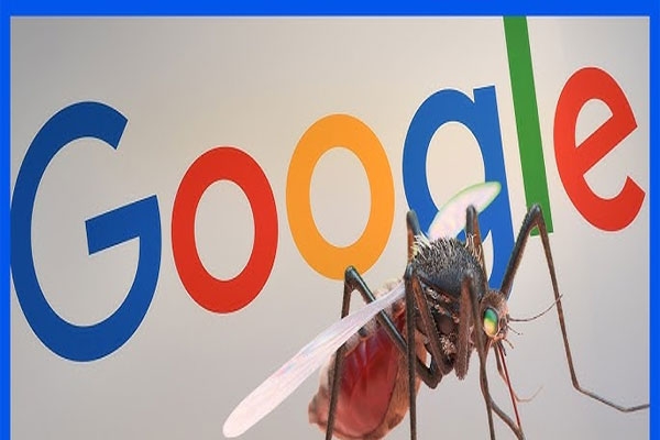 google