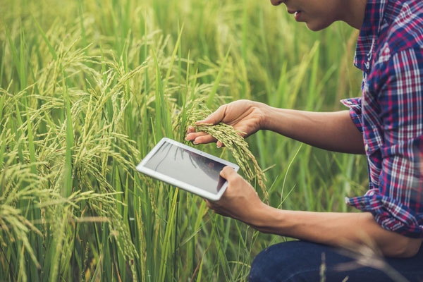 Digital Farmers