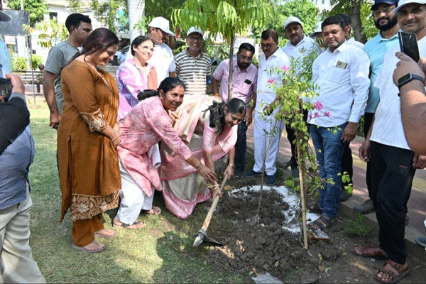 Tree plantation by the Mahapor