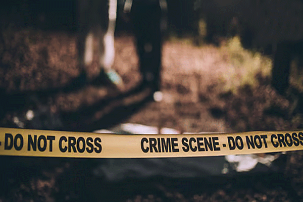 Wife kills husband