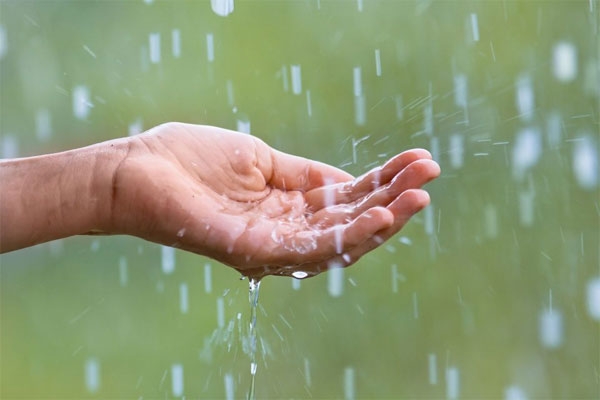 rain 1
