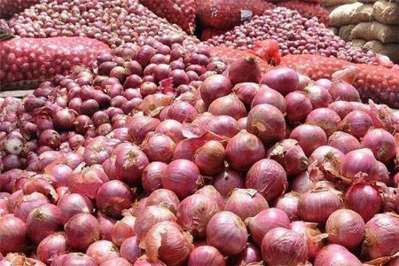 महत्त्वपूर्ण निर्णय! कांदा उत्पादक शेतकऱ्यांना दिलासा