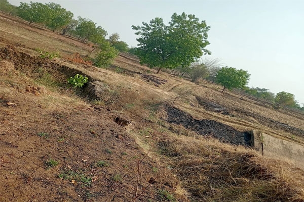 Gosekhurd Project