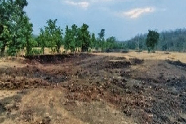 Plunder of soil from the lake