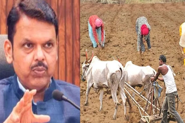maharashtra farmers to get 100 percent daytime electricity by year end says devendra fadnavis