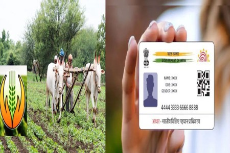 लक्ष द्या...आधार क्रमांक पाच वर्षांसाठी ब्लॅकलिस्टमध्ये जाणार