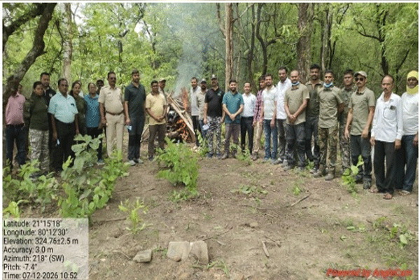 mystery-behind-tigers-death mystery-behind-tigers-death