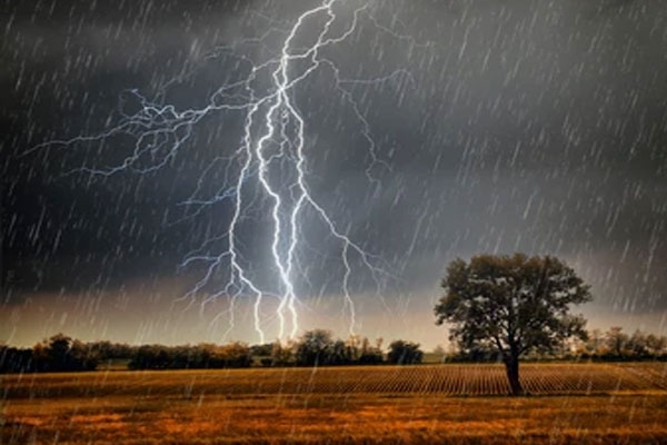 maharashtra weather update no heavy rain for next five days farmers worried over rainfall deficit
