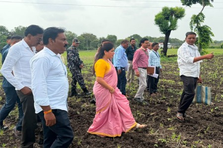 बोगस बियाणांमुळे दुबार पेरणीचे संकट