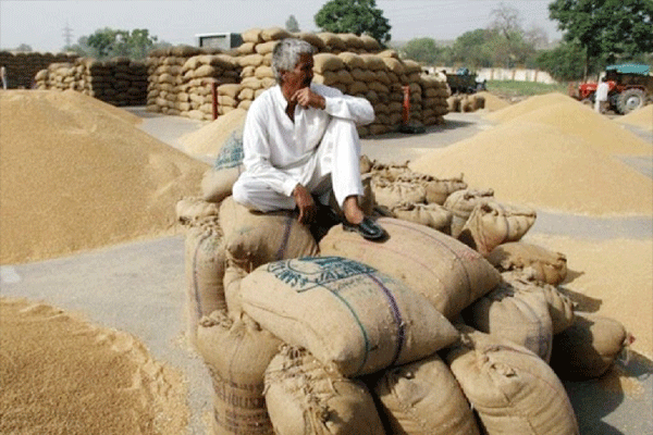 paddy-payments-pending