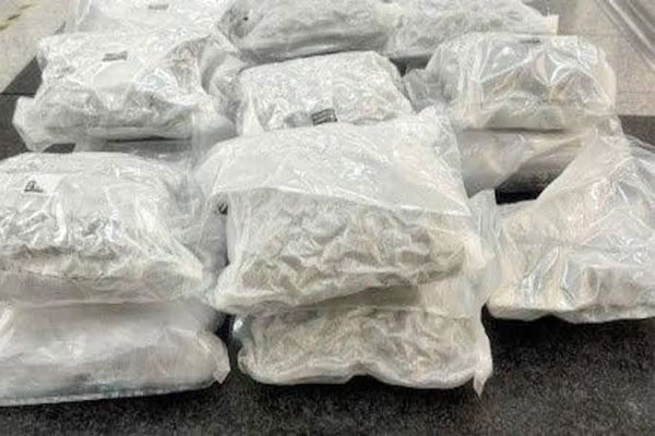 crime news nagpur youth arrested at mumbai airport for smuggling rs 4.71 crore hydroponic ganja from bangkok