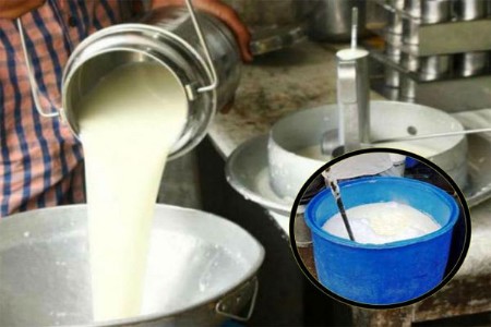दुधात भेसळ करणाऱ्या टोळीचा पर्दाफाश