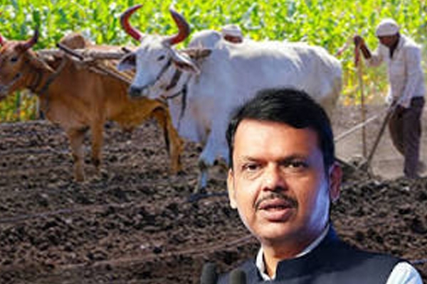 farm loan waiver