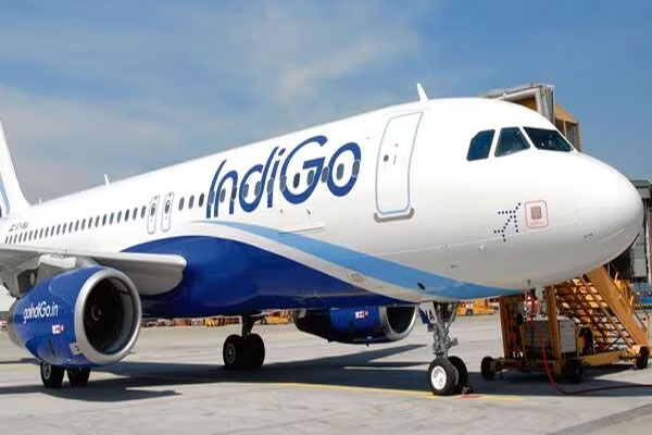 indigo