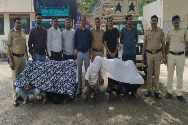 theft of bullocks from two locations