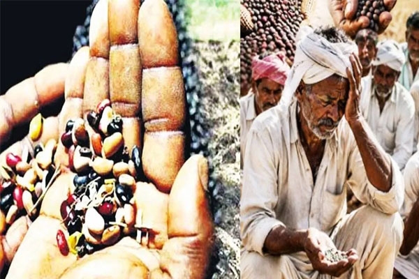 akola bogus seed case: cases filed against 9 seed companies for farmer fraud allegations akola bogus seed case: cases filed against 9 seed companies for farmer fraud allegations