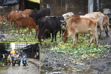 आठवडी बाजारातील अस्वच्छतेमुळे नागरिक त्रस्त