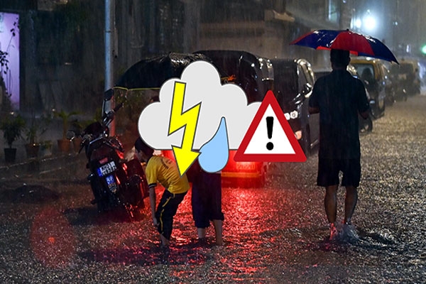 Rain arrives in Vidarbha