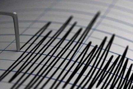 औंढा नागनाथमध्ये भूकंपाचे धक्के
