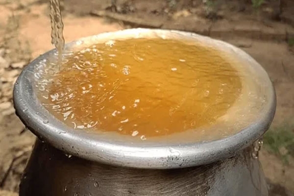 worm found in nagpur tap water, residents allege contaminated municipal water supply