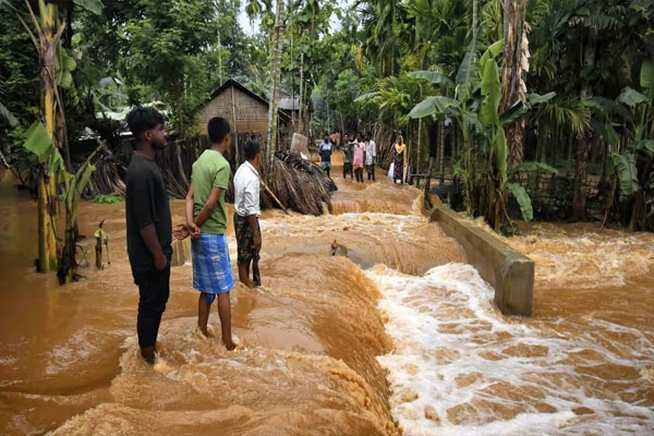 Havoc caused by floods in Assam Havoc caused by floods in Assam
