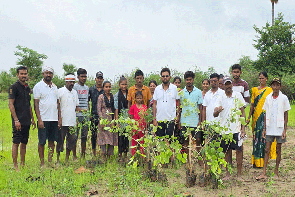 planting-of-sandalwood-saplings