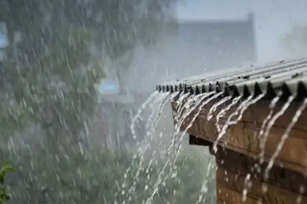 maharashtra rain alert heavy rainfall forecast orange alert issued by imd