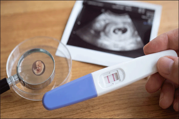 clear up misconceptions about ivf clear up misconceptions about ivf