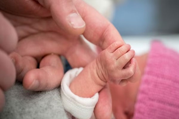 Births have stalled Births have stalled