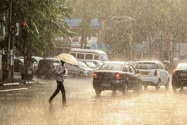 पावसाची दिवसभर हजेरी