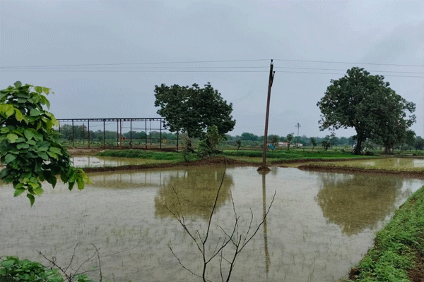 rain-in-gondia rain-in-gondia
