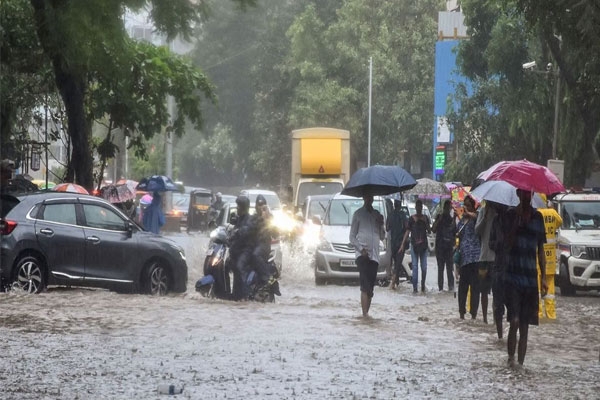 Mumbai Monsoon OPD Active as Dengue, Malaria and Leptospirosis Suspected Cases Rise
