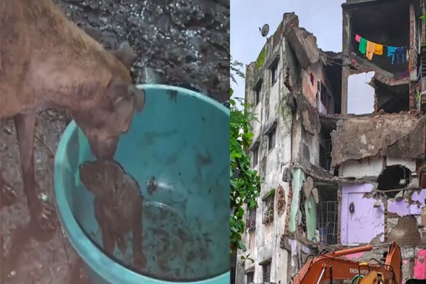 Bhiwandi Building Collapse