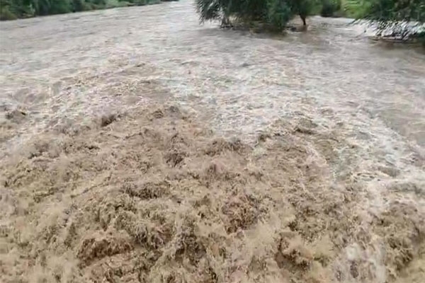 washim district receives heavy rainfall 43 revenue circles record excess rain, farmers relieved