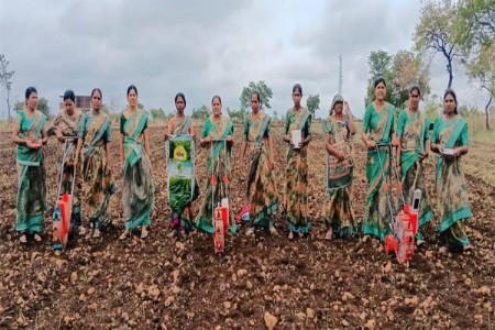 यावर्षीही सोयाबीनवरच शेतकर्‍यांचा विश्वास